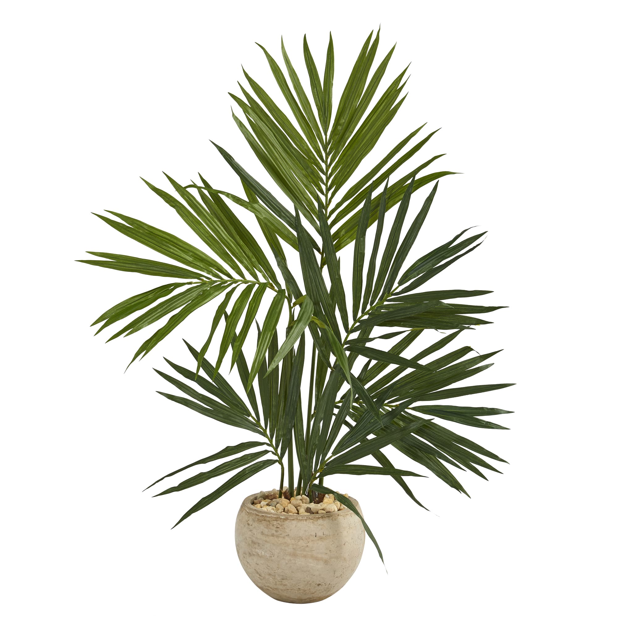 4ft. Kentia Palm Tree in Round Sand Colored Planter
